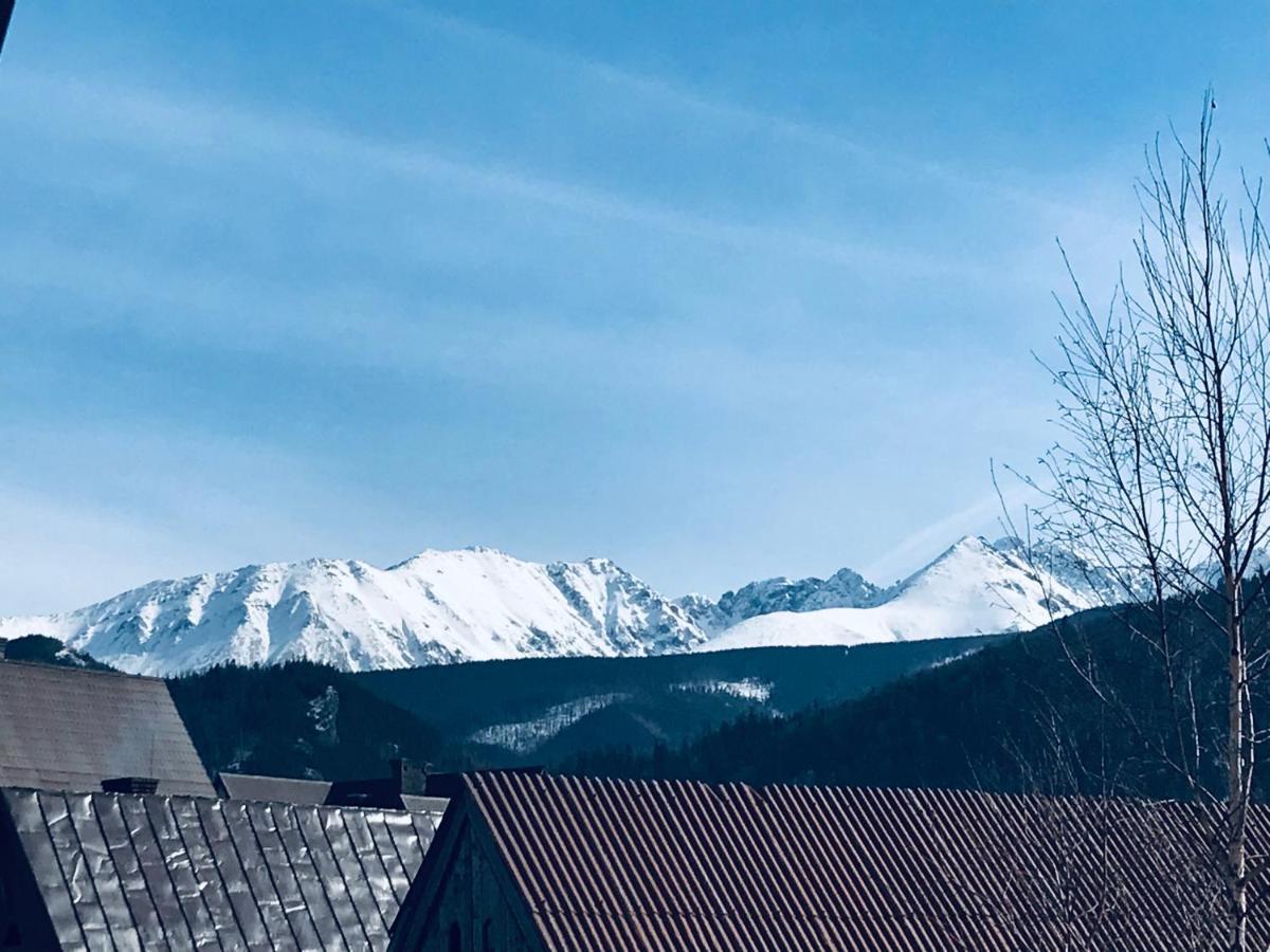 Willa Pod Gorami Zakopane Exterior photo