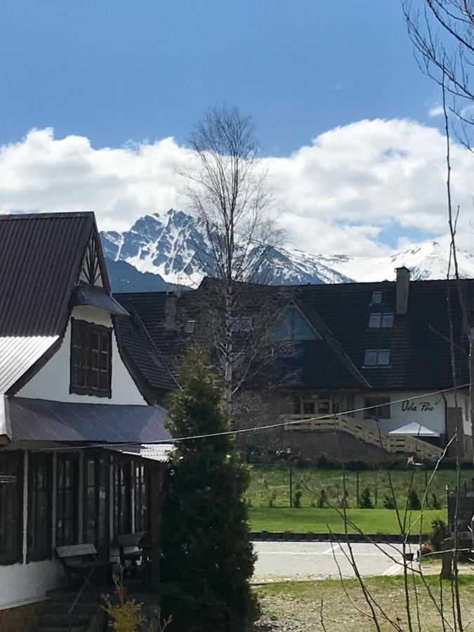 Willa Pod Gorami Zakopane Exterior photo